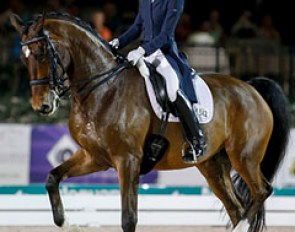 Laura Graves and Verdades at the 2015 CDI-W Wellington :: Photo © Sue Stickle
