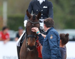 Trainer Dieter Laugks gives Sylvia Gugler's Baudolino a quick pat before they enter the ring