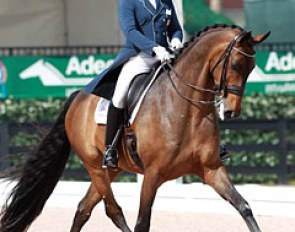 Chris Hickey and Ronaldo at the 2015 CDI Wellington :: Photo © Astrid Appels