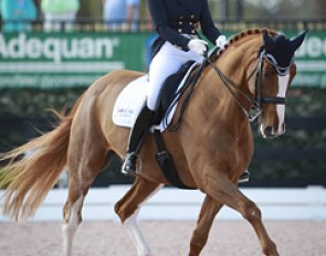 Patricia Koschel and Leuchtfeuer DE will represent Team Germany as a small tour pair at the 2015 CDIO Wellington :: Photo © Astrid Appels