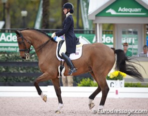 Yvonne Losos de Muniz and Foco Loco W at the 2015 CDI Wellington :: Photo © Astrid Appels