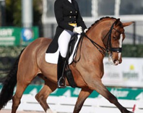 Silva Martin and Aesthete at the 2015 CDI Wellington :: Photo © Astrid Appels