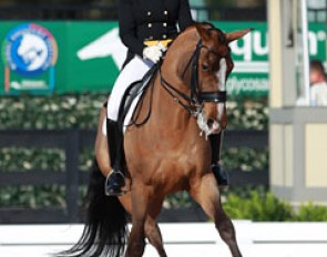 Silva Martin on Aesthete (by Trento B x Gribaldi)