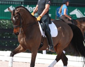 Steffen Peters flew in Legolas for the CDI 5*