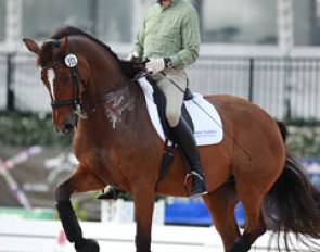 Danish Lars Petersen and Mariett are on strong form in Wellington, having already won two CDI's this season