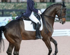 Christina Vinios and Folkestone win the 2015 U.S. Small Tour Championship in Wellington :: Photo © Sue Stickle
