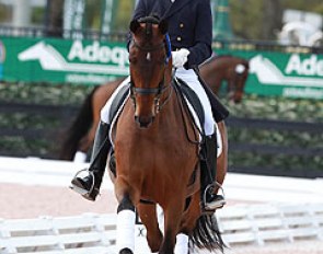 Chris von Martels and Zilverstar (by Rousseau x Rossini) win the Inter I kur to Music at the 2015 CDI Wellington :: Photo © Astrid Appels