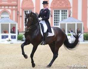 Bernadette Brune on Spirit of the Age OLD at the 2015 CDI Wiesbaden :: Photo © LL-foto