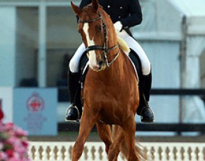 Bahreini Abdulredha Abdulhadi Alafoo on the Dutch bred Tout de Suite (by Krack C x Consul)