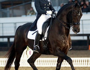 Katherine Bateson-Chandler on Alcazar