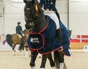 Beata Stremler and Rubicon D win the Grand Prix and Special at the 2015 CDI Zakrzow :: Photo © Lukasz Kowalski