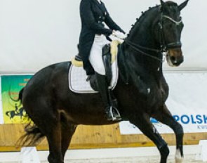 Ellesse Tzinberg and Pavarotti at the 2015 CDI Zakrzow :: Photo © Lukasz Kowalski