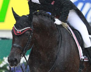 Agnete Kirk Thinggaard pats Jojo AZ after finishing her ride in the rain