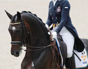Tinne Vilhelmson on Paridon Magi