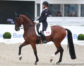 Chris von Martels and Divertimento at the 2016 CDIO Aachen :: Photo © Astrid Appels