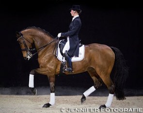 Fanny Verliefden and Annarico warming up at the 2016 CDI-W Amsterdam :: Photo © Jennifer Fotografie