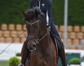 Dorothee Schneider schooling youngster First Romance
