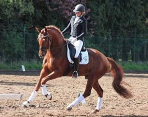 Mieke Dries and Golddream van de Kempenhoeve