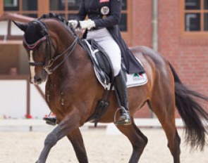 Astrid Neumayer and Rodriguez at the 2016 CDI Cappeln :: Photo © Michael Rzepa