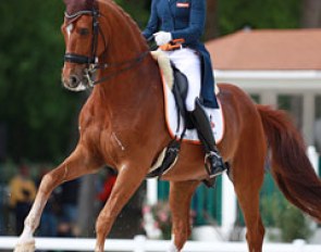 Adelinde Cornelissen on Parzival
