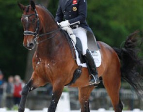 Carl Hester and Nip Tuck at the 2016 CDIO Compiegne :: Photo © Astrid Appels