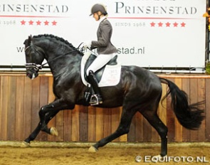 Martine van Vliet and Ironman win the 2016 VWF Dressage Cup for 3-year olds :: Photo © Equifoto.nl