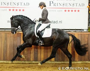Martine van Vliet and Ironman win the 2016 VWF Dressage Cup for 3-year olds :: Photo © Equifoto.nl