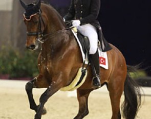 Ceylan Avinal and Zygrande Le Coupied at the 2016 CDI-W 's Hertogenbosch :: Photo © Astrid Appels