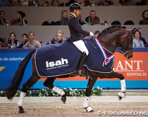 Electron at the 2016 KWPN Stallion Competition Finals