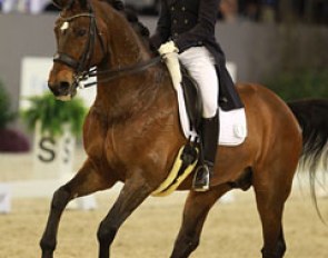 Masanao Takahashi on Fabriano. This Japanese Olympic team candidate is coached by Norbert van Laak and competes Renate Voglsang's former Austrian team horse