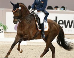 Lisanne Zoutendijk and Watteau at the 2016 CDI Drachten :: Photo © Digishots