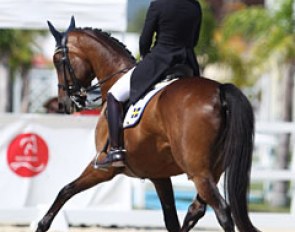 Elin Hassellund and Simson SD