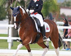 Amy Schiessl and Mr Mercury at the 2016 European Young Riders Championships :: Photo © Astrid Appels