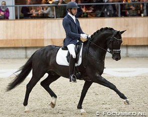 Philip van Ommen and Four Legends at the 2016 KWPN Stallion Competition in Ermelo :: Photo © Focussed.nl
