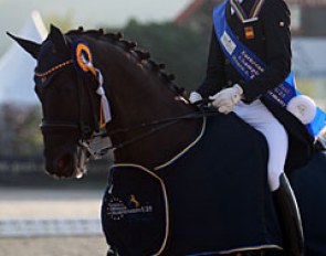 Juan Matute Guimon on Don Diego