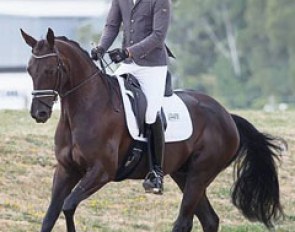 Andrew Daines and Sartorial Hit SW win the Young Horse Finals at the 2015 New Zealand Dressage Championships :: Photo © Libby Law