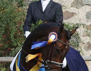 Ebba von Essen and the 5-year old winner Macacho of the 2016 Swedish Young Horse Championships