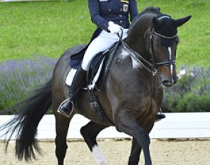 Jenny Lang-Nobbe and Loverboy with the Grand Prix for Kur at the 2016 CDI Fritzens :: Photo © Max Schreiner
