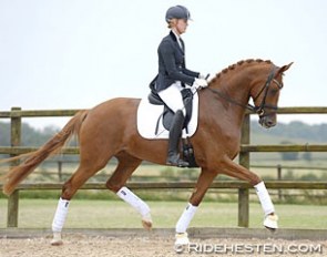 Emma Dahlberg and Sezuanna at the 2016 DWB Mare Performance testing in Fyn :: Photo © Ridehesten