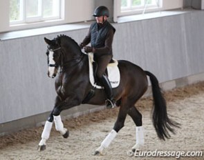 Hubertus Schmidt and Hedelunds Mefisto at the 2016 Global Dressage Forum in Hagen, Germany, in October :: Photo © Astrid Appels