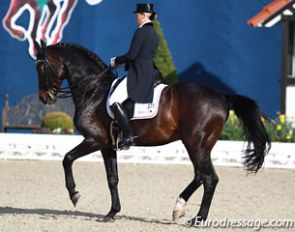 German B-team member Bernadette Brune on her Oldenburg licensed stallion Spirit of the Age (by Stedinger)