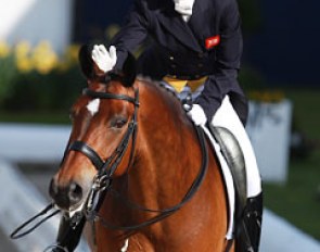 Lara Griffith on Rubin al Asad. This bay gelding was one of many Rubin Royal offspring competing at Grand Prix level in Hagen this year. 