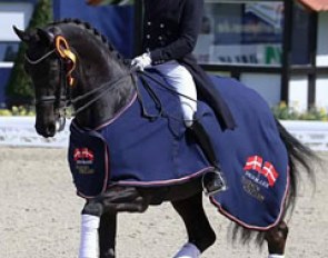 Allan Gron and Zick Flower win the Prix St Georges at the 2016 CDI Hagen :: Photo © LL-foto