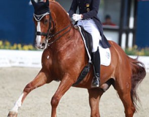 Kathleen Keller on Daintree (by De Niro x Wanderbusch II). Same bloodlines as Balkenhol's Dablino but from a different, unrelated dam. Both have amazing talent for flying changes