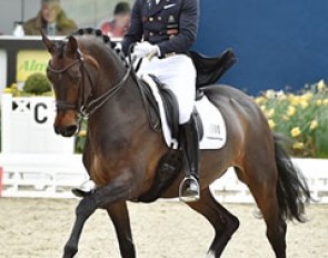 Patrik Kittel and Deja at the 2016 CDI Hagen :: Photo © Karl Heinz Frieler