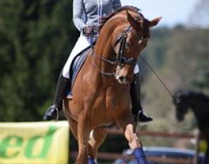 Fabienne Lutkemeier on D'Agostino