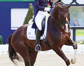 Fabienne Lutkemeier and Flynn PCH at the Louisdor Cup qualifier held during the 2016 CDI Hagen :: Photo © LL-foto