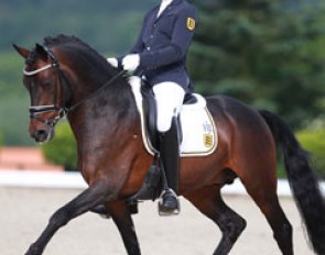 Germany's 2014 European Championship team pony De Long back in action with a new rider, Philipp Merkt