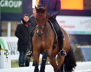 Sönke Rothenberger schooling Cosmo, German team trainer Monica Theodorescu watches