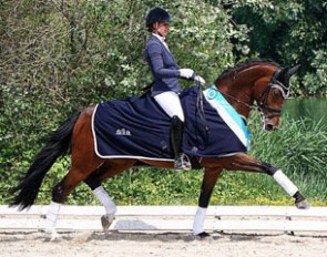 Aikje Fehl and Chilly Jam at the 2016 Ingolstadt Bundeschampionate qualifier